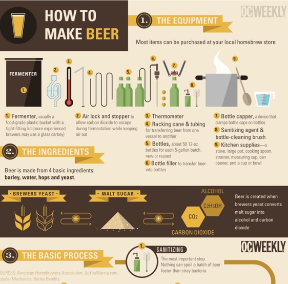 Top 10 Beer Infographics