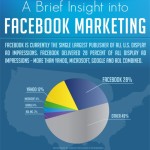a brief insight into facebook marketing 1