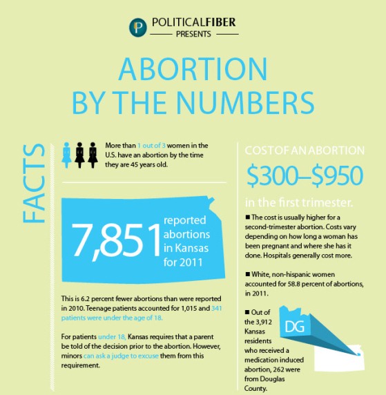 Abortion by the Numbers (Infographic)