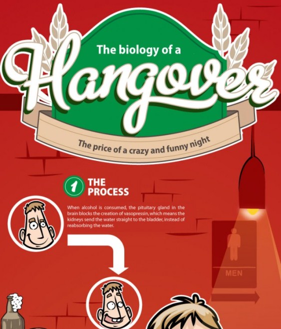 Biology of Hangover (Infographic)