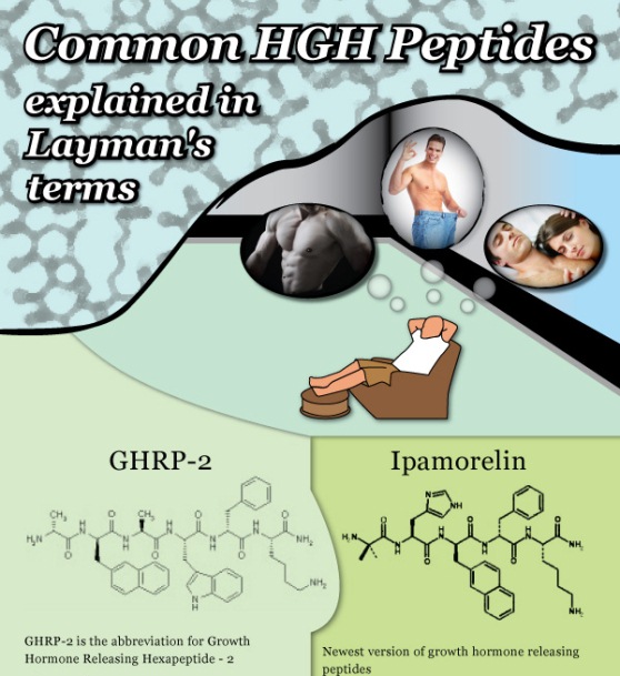 Differentiation of Different Kinds of HGH Peptides (Infographic)