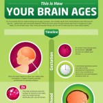 how your brain ages 1