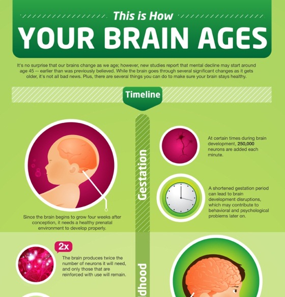 How Your Brain Ages (Infographic)