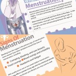 menstruation the menstrual cycle 1
