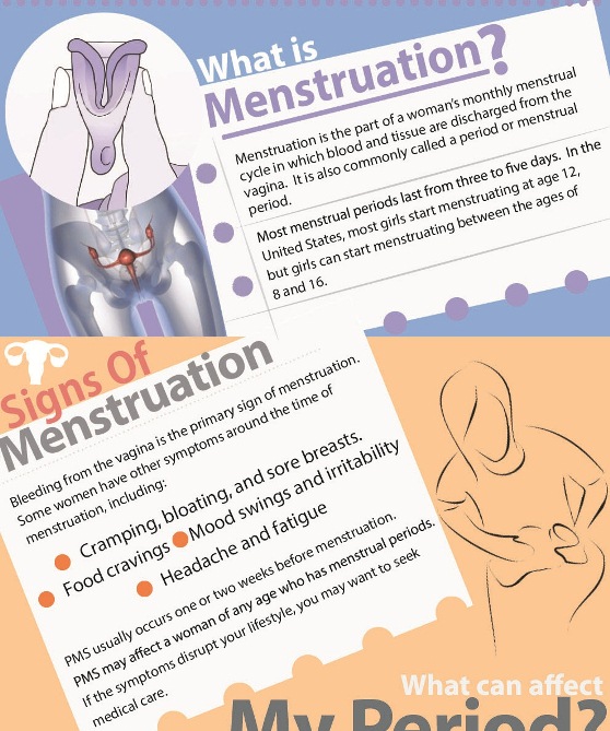 Menstruation: The Menstrual Cycle (Infographic)