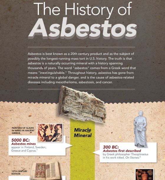 Top 10 Asbestos Infographics