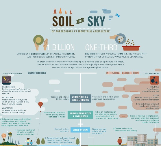 Agroecology vs. Industrial Agriculture (Infographic)