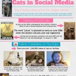cats in social media 1