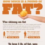how much is a pound of fat 1