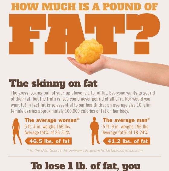 How Much Is A Pound Of Fat? (Infographic)