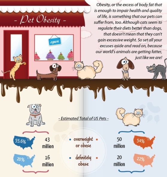 Pet Obesity (Infographic)