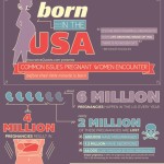 pregnancy in the united states 1
