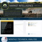 VC market intelligence march 2013 1
