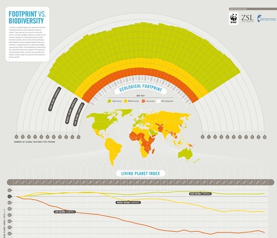Top 5 Biodiversity Infographics