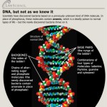 DNA, but not as we know it 1