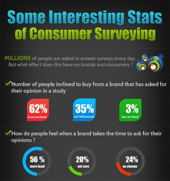 Does Consumer Surveying Bridge the Gap (Infographic)