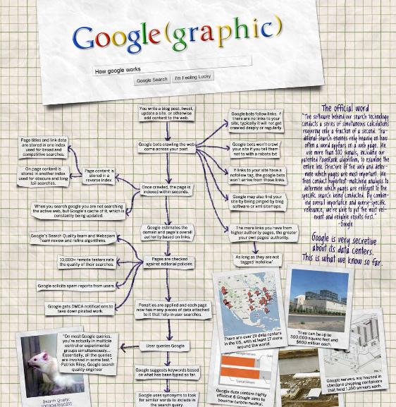 Top 5 Google Infographics