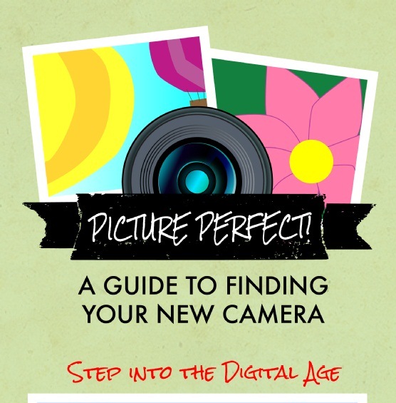 Picture Perfect: A Guide to Finding your New Camera (Infographic)