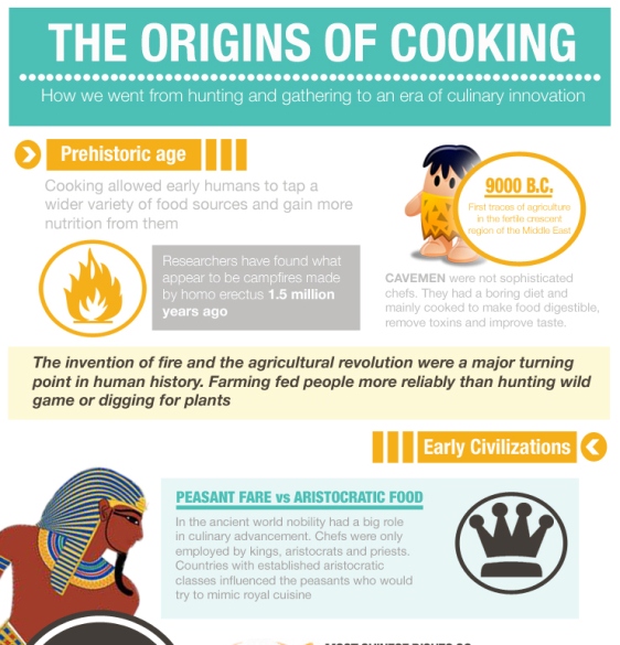 Top 10 Cooking Infographics