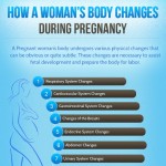 body changes in women due to pregnancy 1