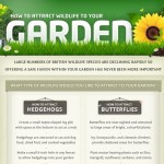 how to attract wildlife to your garden 1