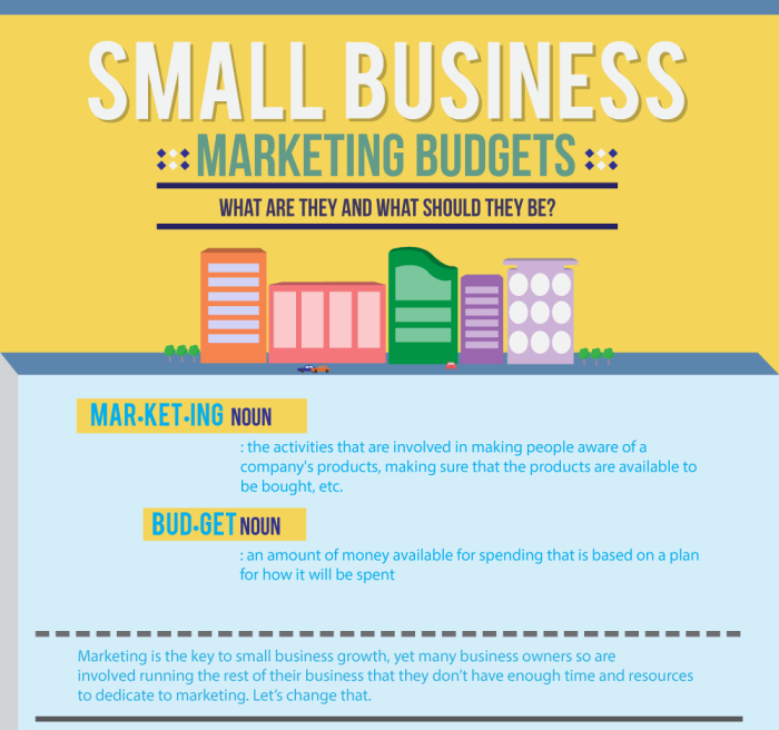 Guide to Small Business Marketing Budgets