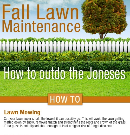 Fall Lawn Care: How to Beat the Joneses Next Spring