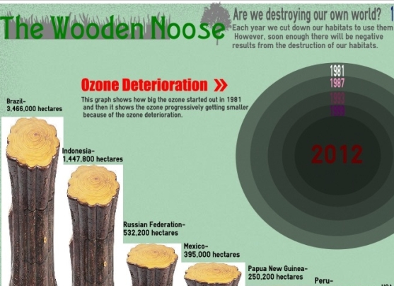 Top 5 Deforestation Infographics