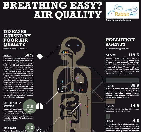 Top 5 Air Pollution Infographics