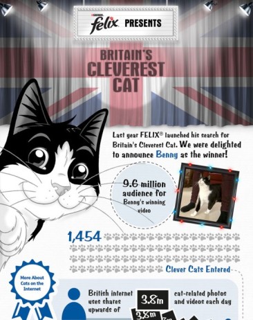 Britain’s Cleverest Cat