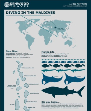 Basic Guide to Scuba Diving in The Maldives