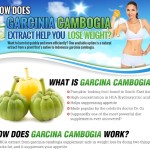 How_does_Garcinia_Cambogia_Extract_help_you_lose_weight