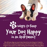 happy dog apartment