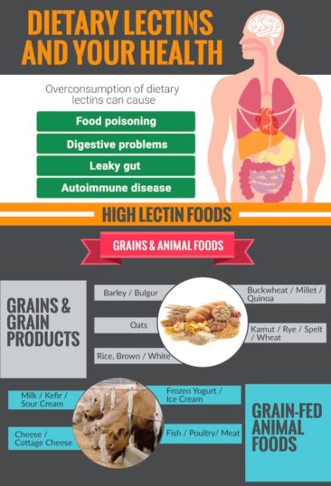 Avoid the Harmful Effects of Dietary Lectins