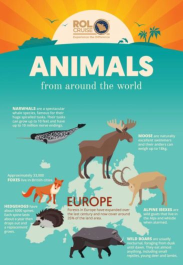 Animals From Around The World