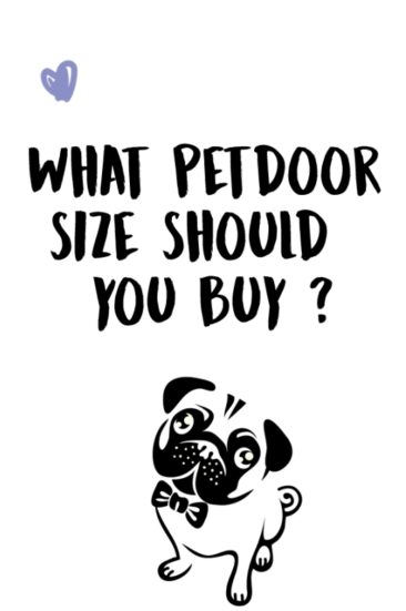 WHAT PET DOOR SIZE SHOULD YOU BUY?