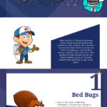 Most-Common-Pests-in-Toronto