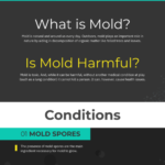 conditions-for-mold-to-grow-indoors
