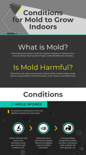 What Does it Takes for Mold to Grow Indoors?