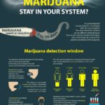 How-Long-Marijuana-Stay-In-Your-System