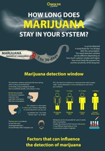 How Long Marijuana Stay In Your System