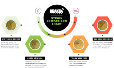 Kratom Strain Comparison Chart By Kraken Kratom