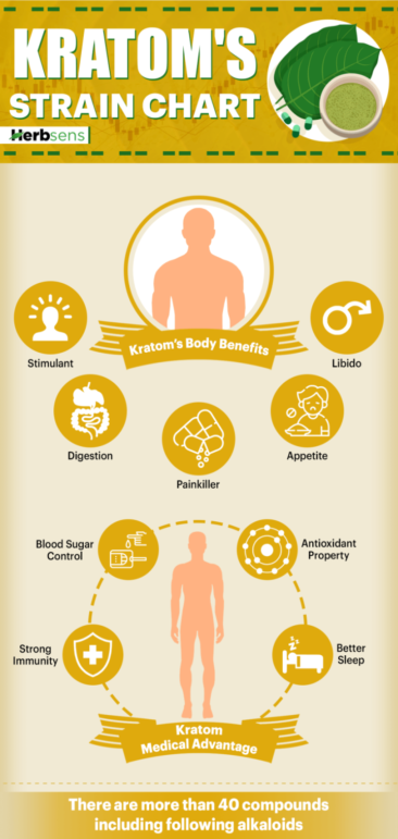 Kratom’s Strain Chart Guide