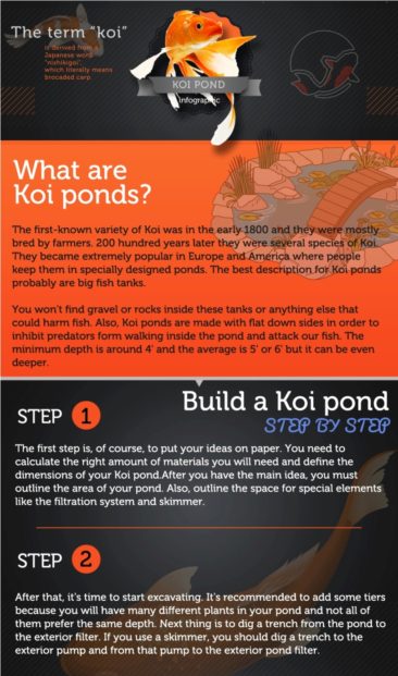 What are Koi Ponds?