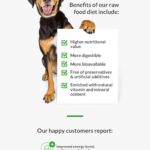 Why Feed Your Dog A Raw Food Diet