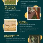 How To Hunt Whitetail Deer During The Rut