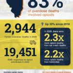 Drug Addiction in Illinois
