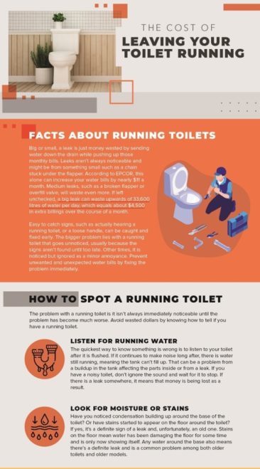 The cost of Leaving your Toilet Running