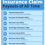 Biggest-Insurance-Claim-Payouts-of-All-Time