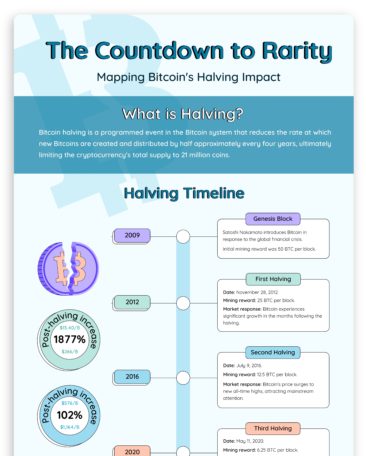 Mapping Bitcoins Halving Impact